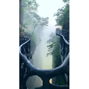 张家界382