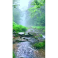 张家界383