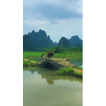 张家界399
