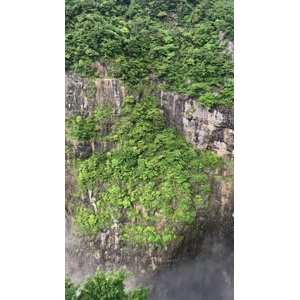 张家界401