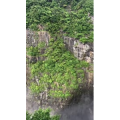张家界401