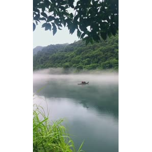 张家界403
