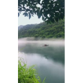 张家界403