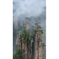 张家界404