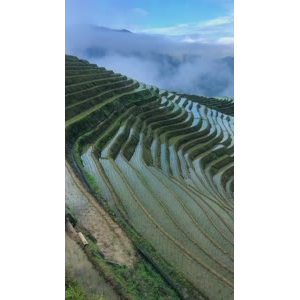 张家界407