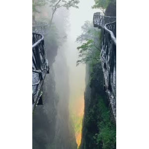 张家界410