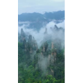 张家界413