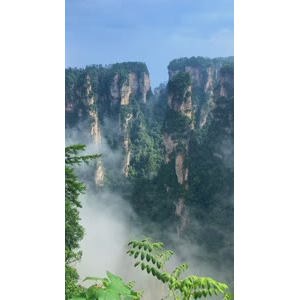 张家界419