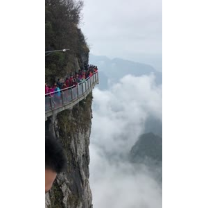 张家界430