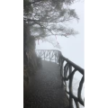 张家界433