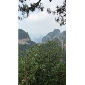 张家界444