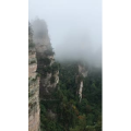 张家界455