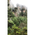 张家界458