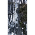 张家界459