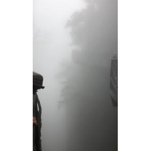 张家界463