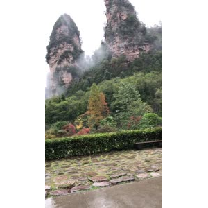 张家界469