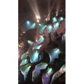 张家界491