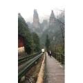 张家界498