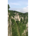 张家界501