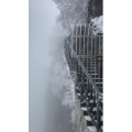 张家界502