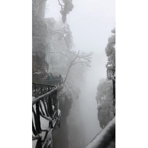 张家界503