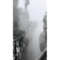 张家界503