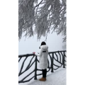 张家界504