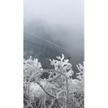 张家界510
