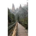 张家界513