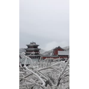 张家界516