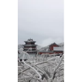 张家界516