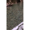 张家界519