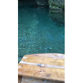 张家界526