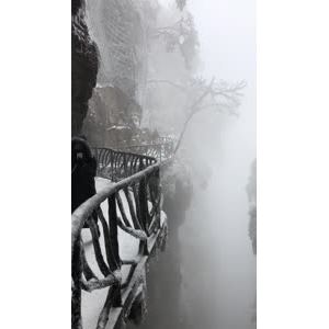 张家界527