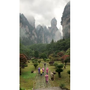 张家界533