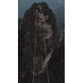 张家界536