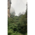 张家界537