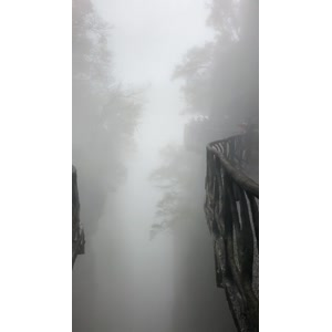 张家界538