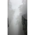 张家界538