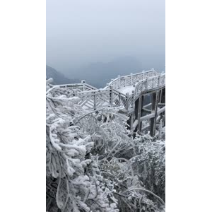 张家界543