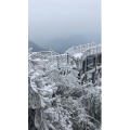 张家界543