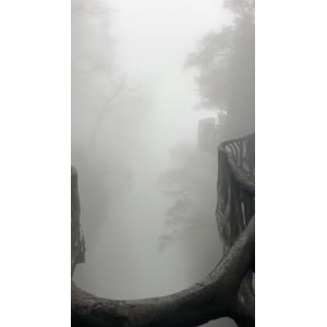 张家界549