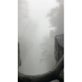 张家界549