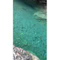 张家界552