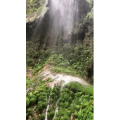 张家界557