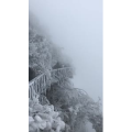 张家界559