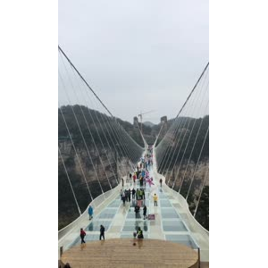 张家界561