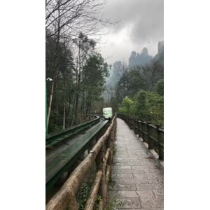 张家界565