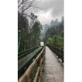 张家界565