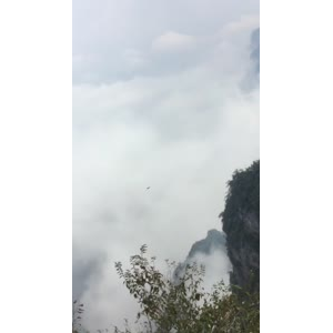 张家界567
